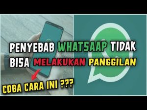 10 Cara Menangani Tidak Bisa Melaksanakan Panggilan Whatsapp