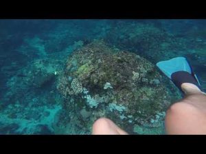 Nusa Penida Bali: Kawasan Snorkeling Dan Hidden Gems Modern!