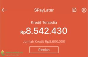 13 Cara Gestun Shopee Paylater 24 Jam Eksklusif Cair Ke Rekening