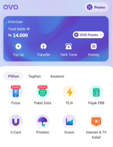 Apa Itu Ovo Premier, Ini Fitur Dan Cara Upgradenya