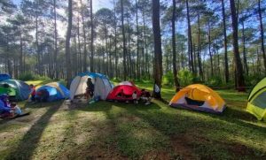 6 Nasehat Tempat Camping Di Lembang, Pandangan Baru Piknik Keluarga