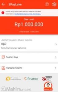 9 Penyebab Shopee Paylater Dikunci Sebab Dilema Keamanan