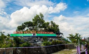 Green Village Gedangsari, Pemandangan Indah Dari Ketinggian Di Gunung Kidul