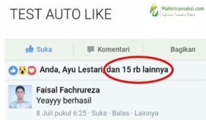 Autolike Biz Access Token Tambah Like Fb Permanen 2024