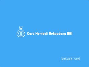 6 Cara Ikut Reksadana Bri Dan Jenis 2023