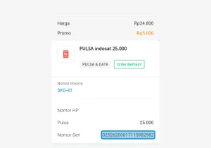 Begini Cara Gampang Mengetahui Serial Number Pengisian Pulsa