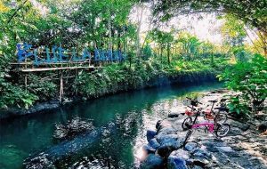 Blue Lagoon Jogja, Pesona Bak Pemandian Alami Yang Asri & Menyegarkan