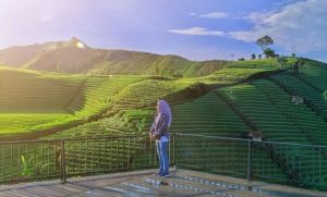 Bukit Candi Lawang Saketeng Panorama Eksotis Di Majalengka