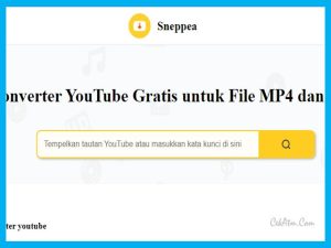 Apa Konverter Youtube Terbaru Dan Terbaik Ketika Ini? Sneppea-Lah Jawabannya!