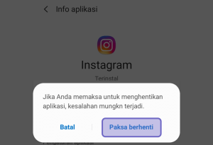 5 Cara Mudah Mengatasi Instagram Tidak Mampu Memuat Efek