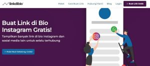 Cara Menciptakan Link Bio Instagram Dan Tiktok, Gampang Tanpa Ribet!