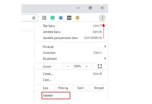 3 Cara Keren Mengganti Tema Chrome Dengan Gambar Sendiri