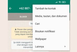 7 Cara Menampilkan Nama Kontak Whatsapp Tidak Muncul