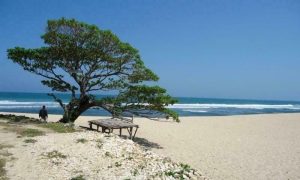 10 Pantai Di Jogja Tercantik Yang Wajib Dikunjungi