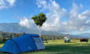 5 Kawasan Camping Di Bedugul, Indah, Sejuk, Dan Pastinya Seru!