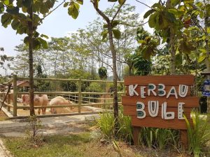 Bogor Mini Zoo: Rekreasi Edukatif Keluarga Yang Layak Dicoba!