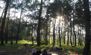 Situ Cibeureum, Danau Anggun Dengan Panorama Alam Yang Mempesona Di Garut