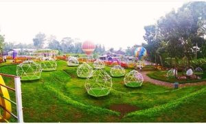 Alamanda Jogja Flower Garden, Taman Bunga Kontemporer Di Sleman