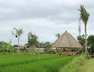 10 Wisata Masakan Di Bali Yang Wajib Dicoba, Terbaru