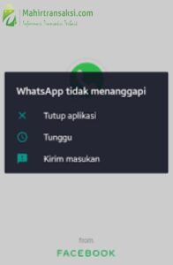 Whatsapp Tidak Menyikapi? Ini 11 Penyebab Dan Solusinya