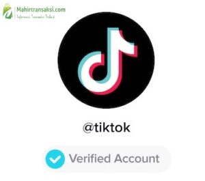 Tiktok Blue Tick Injector Copy Paste Apk Centang Biru 2023