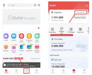 √ 12 Cara Bayar Akulaku Melalui Ovo : Syarat & Keuntungan