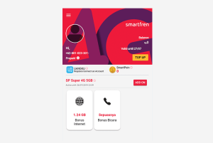 7 Cara Mudah Mengatasi Smartfren Tidak Mampu Cek Pulsa