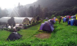 16 Daerah Camping Di Bogor Untuk Kamu Dan Keluarga