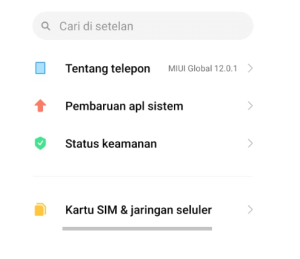 Kartu Provider Sudah 4G Atau Belum? Ini Cara Mengeceknya