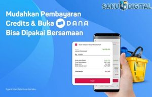 Apa Itu Dana ? Fungsi, Keuntungan, Keunggulan Dan Kelemahan