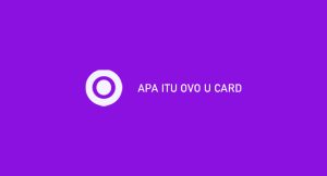 Apa Itu Ovo U Card : Limit, Bunga, Keunggulan & Kelemahan