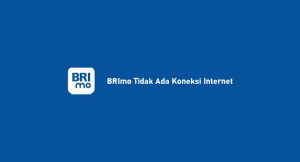 Brimo Tidak Ada Koneksi Internet: Penyebab & Cara Menangani