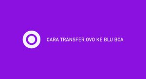 9 Cara Transfer Ovo Ke Blu Bca 2024 : Syarat & Ongkos