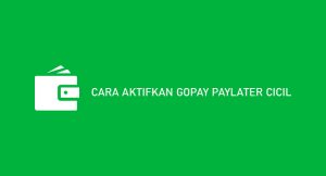 13 Cara Aktifkan Gopay Paylater Cicil 2024 : Syarat, Limit & Ongkos