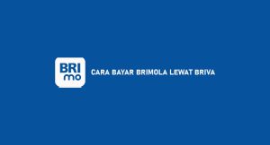 12 Cara Bayar Brimola Lewat Briva : Syarat & Ketentuan