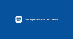 9 Cara Bayar Kartu Halo Melalui Brimo: Syarat & Ongkos