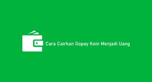 2 Cara Cairkan Gopay Koin Menjadi Duit Ke Rekening 2024