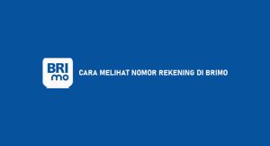 12 Cara Menyaksikan Nomor Rekening Di Brimo Paling Gampang & Cepat