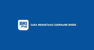 4 Cara Mengetahui Username Brimo Paling Gampang