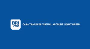 10 Cara Transfer Virtual Account Melalui Brimo 2024 : Syarat & Ketentuan