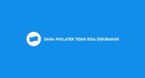 Dana Paylater Tidak Mampu Dipakai? Penyebab Dan Solusi