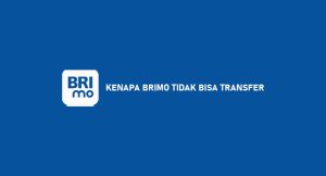 Kenapa Brimo Tidak Mampu Transfer : Penyebab & Cara Menangani