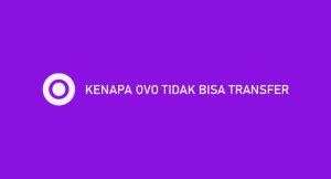 Kenapa Ovo Tidak Mampu Transfer ? Penyebab & Cara Menanggulangi