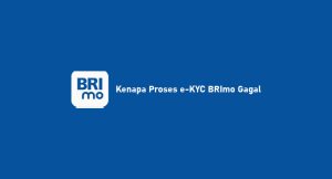 Kenapa Proses E-Kyc Brimo Gagal: Penyebab & Cara Mengatasi