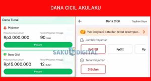 Apa Itu Dana Cicil Di Akulaku? Limit, Bunga & Tabel Santunan