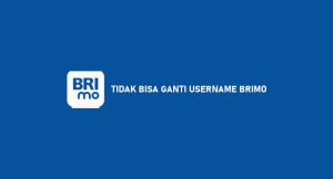 Tidak Mampu Ganti Username Brimo ? Begini Cara Mengatasinya