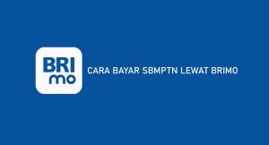 5 Cara Bayar Sbmptn Lewat Brimo 2024 : Syarat, Ongkos & Laba