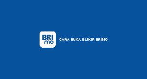 8 Cara Buka Blokir Brimo 2024 : Syarat & Ketentuan