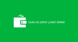 13 Cara Isi Gopay Lewat Brimo 2024 : Syarat & Biaya